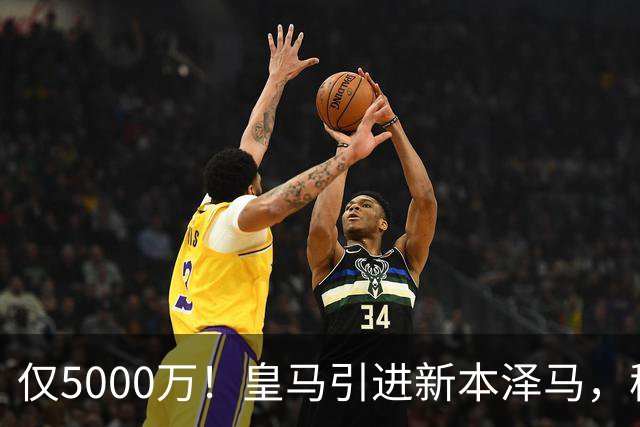 仅5000万！皇马引进新本泽马，穆帅4231战术升级，瞄准西甲欧冠双冠