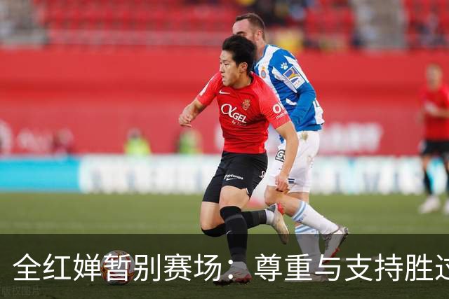 全红婵暂别赛场：尊重与支持胜过一切关注