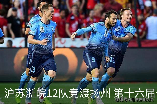 沪苏浙皖12队竞渡扬州 第十六届长三角龙舟赛擂鼓开桨