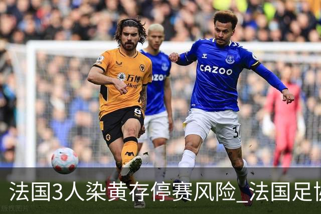 法国3人染黄存停赛风险 法国足协酝酿上诉力保奥利塞